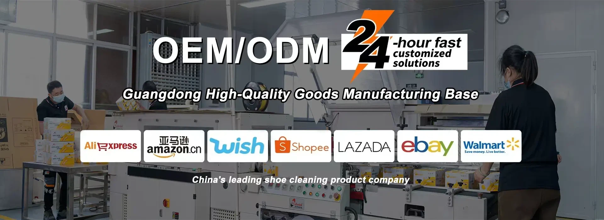 liquid shoe polish banner